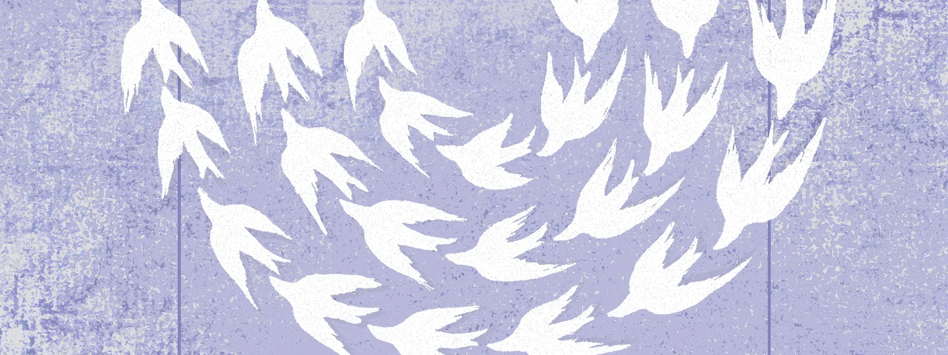 NEUJAHRSKONZERT: OHAD MOSKOWITZ cover image